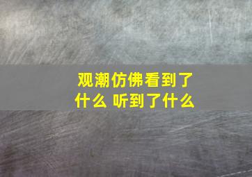 观潮仿佛看到了什么 听到了什么